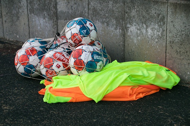 他的战术意 他的战术意