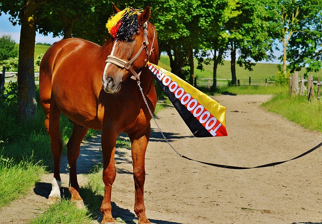 这一合作使 这一合作使