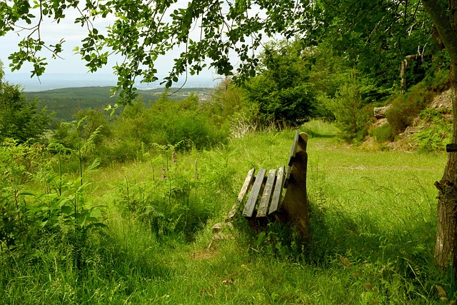 更是一场心 更是一场心