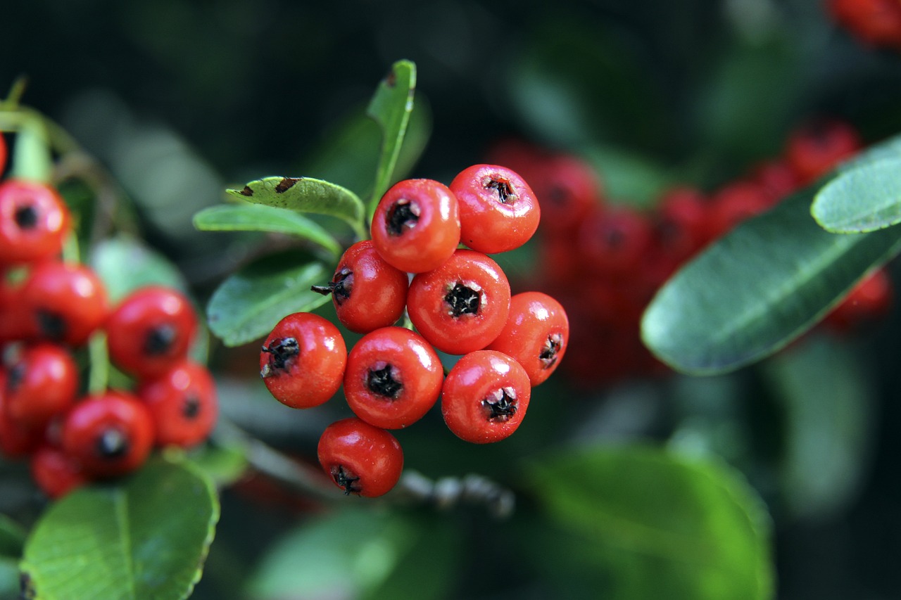 一些能提高 一些能提高