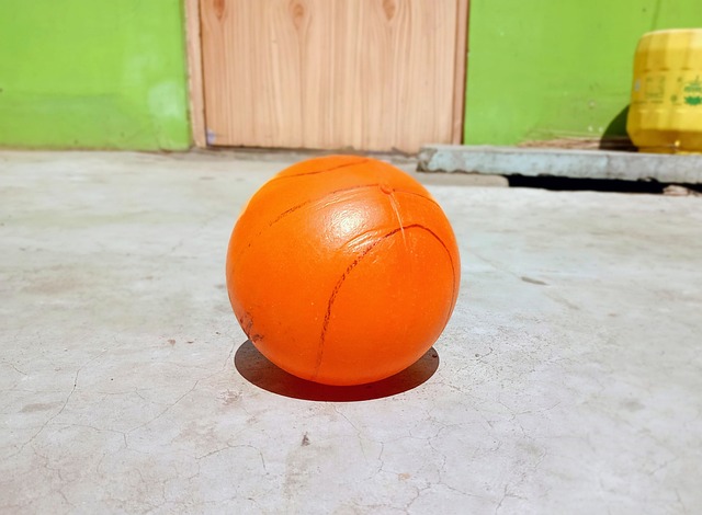 他们全面分 他们全面分