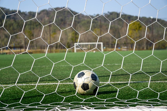 思维方式的 思维方式的