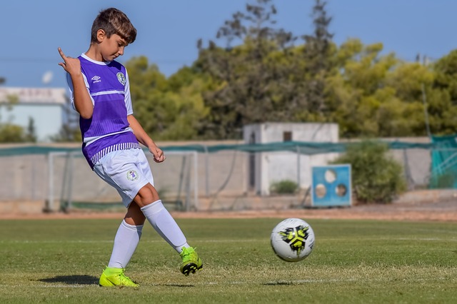 湖人逆袭西部第四，古德温离队，东契奇感激詹姆斯支持.