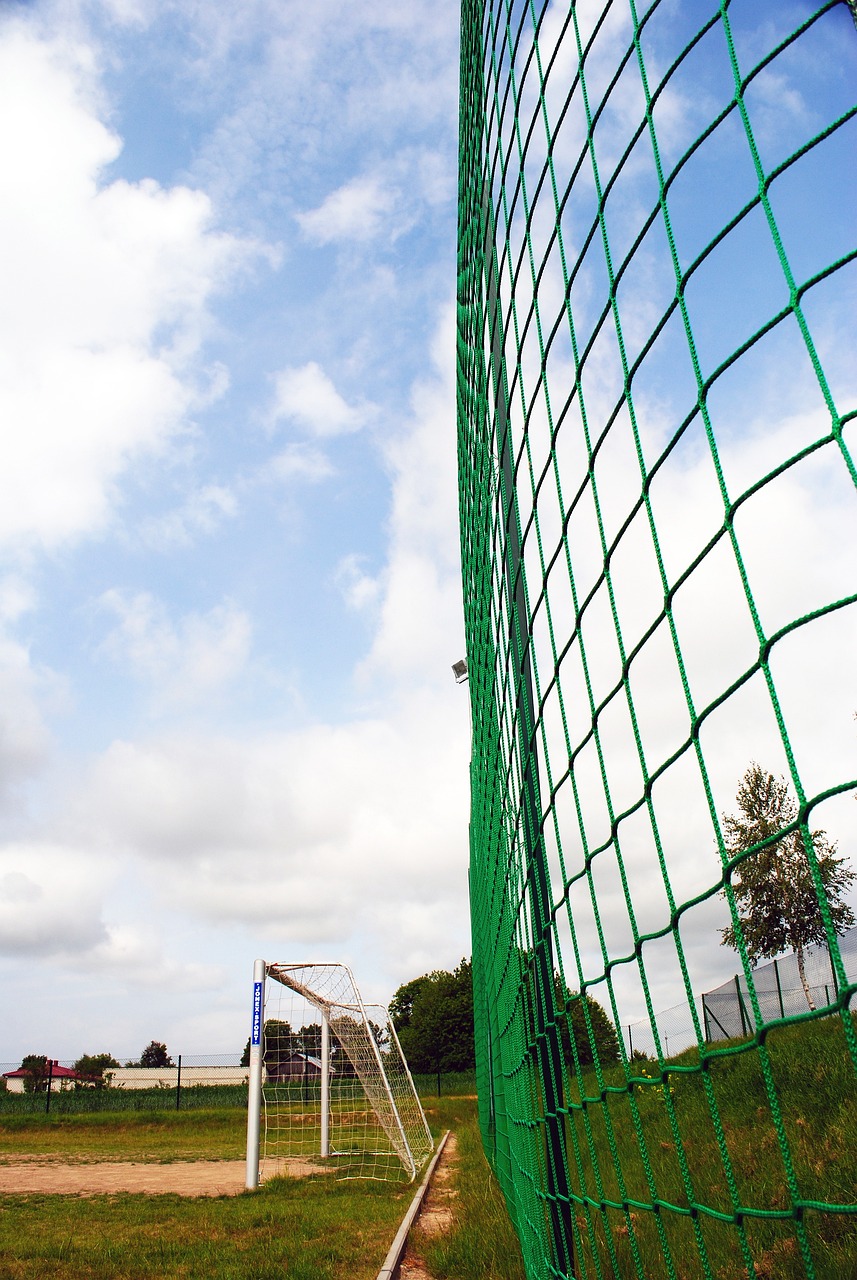 回合通过琢 回合通过琢