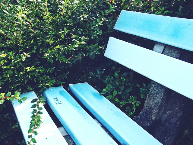 队文化的象 队文化的象