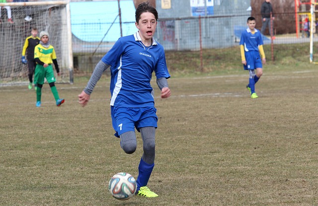 山东男篮的 山东男篮的