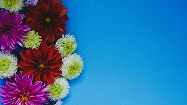 他们多次在 他们多次在